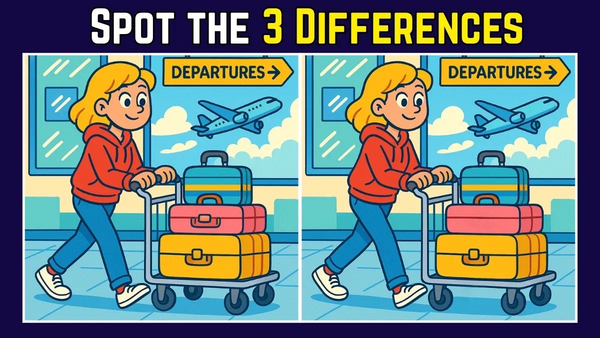 Spot the difference: can you find 3 differences in the girl carrying