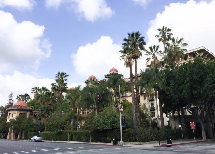 Palm tress on a quiet Pasadena street, driving route 66 road trip, driving the Mother Road.