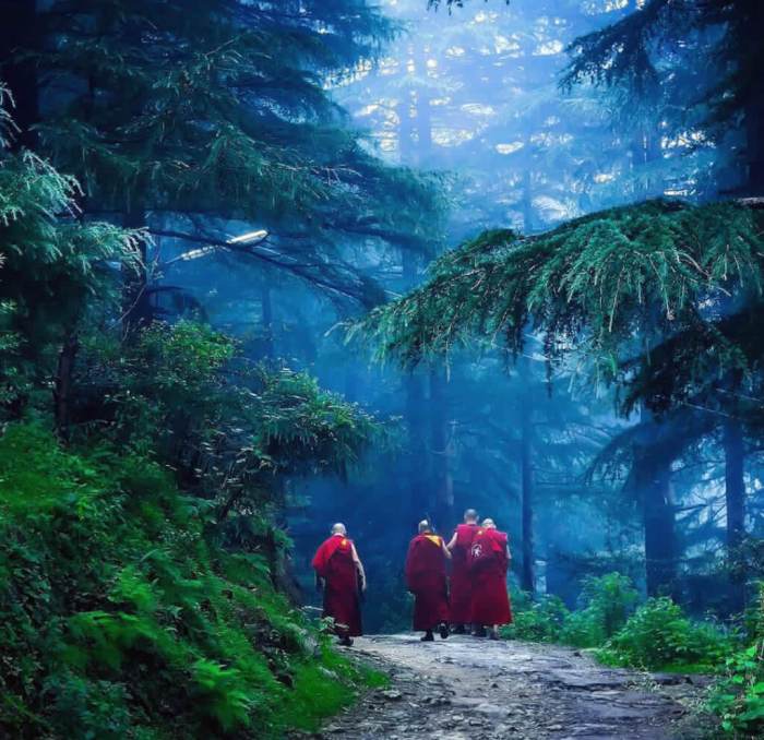 Buddhist monks at McLeod Ganj, places to visit in North India.