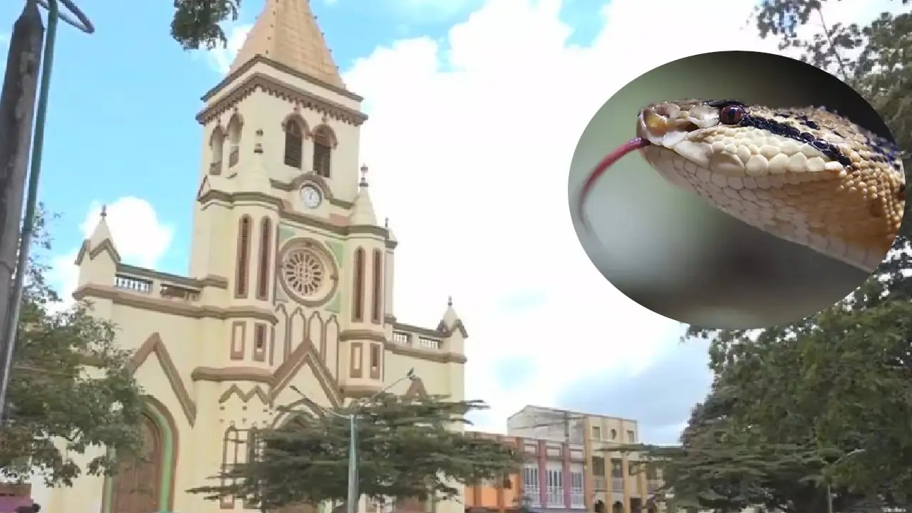 Colapso de techos de dos viviendas en Urrao