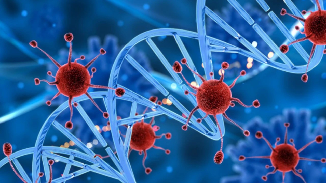 ¿Sabía que los disruptores endocrinos pueden estar afectando su salud? Acá le contamos