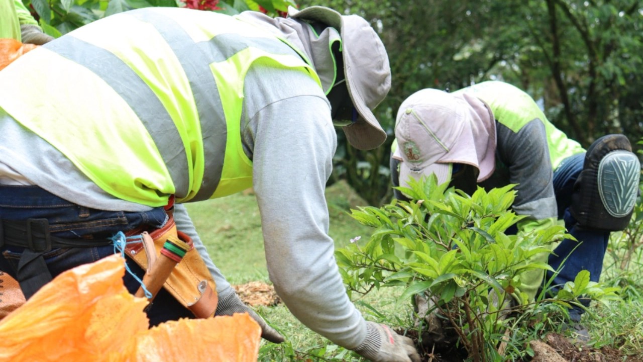 Medellín ‘gradúa’ su primer punto crítico de residuos sólidos en Manrique