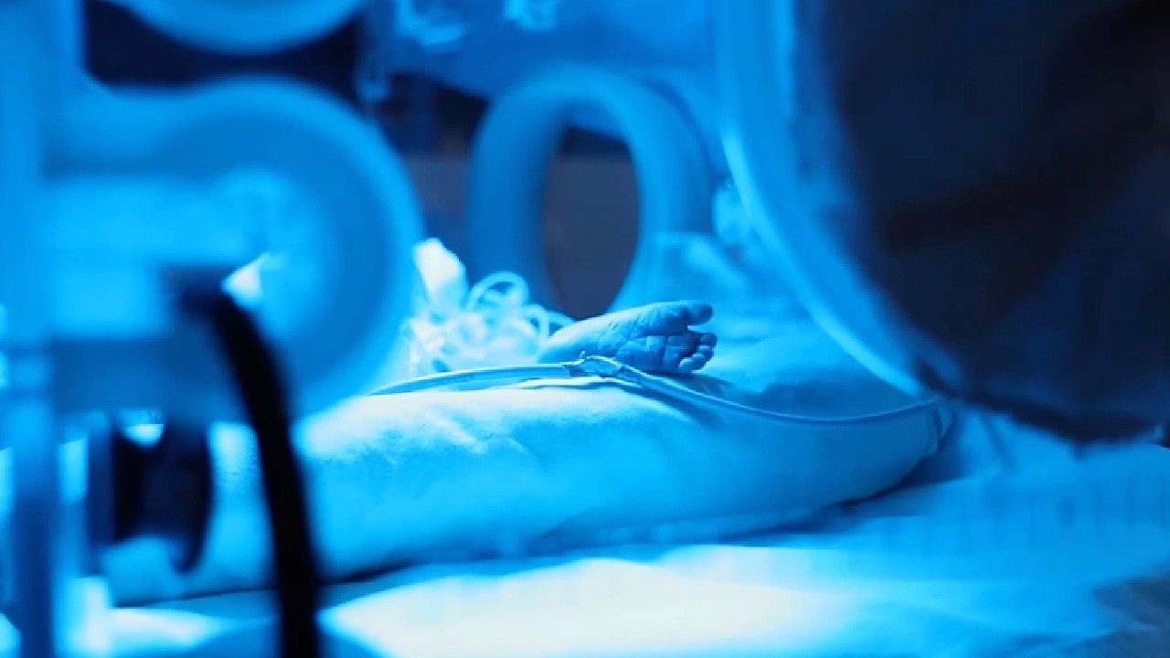 “Un Eco para la Vida»: la campaña que busca unir fuerzas para beneficiar a más de 2.000 niños al año