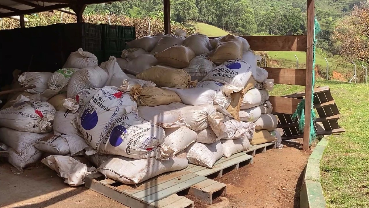 ¡Qué buena idea! Los perros y gatos de La Perla producen abono orgánico para jardines de Medellín
