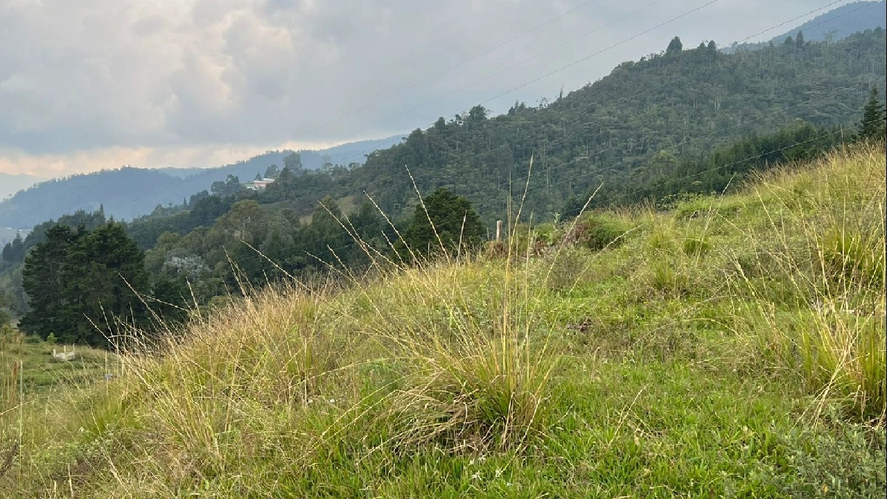La Estrella adquiere 20,2 hectáreas para conservar el agua y la vida en El Romeral