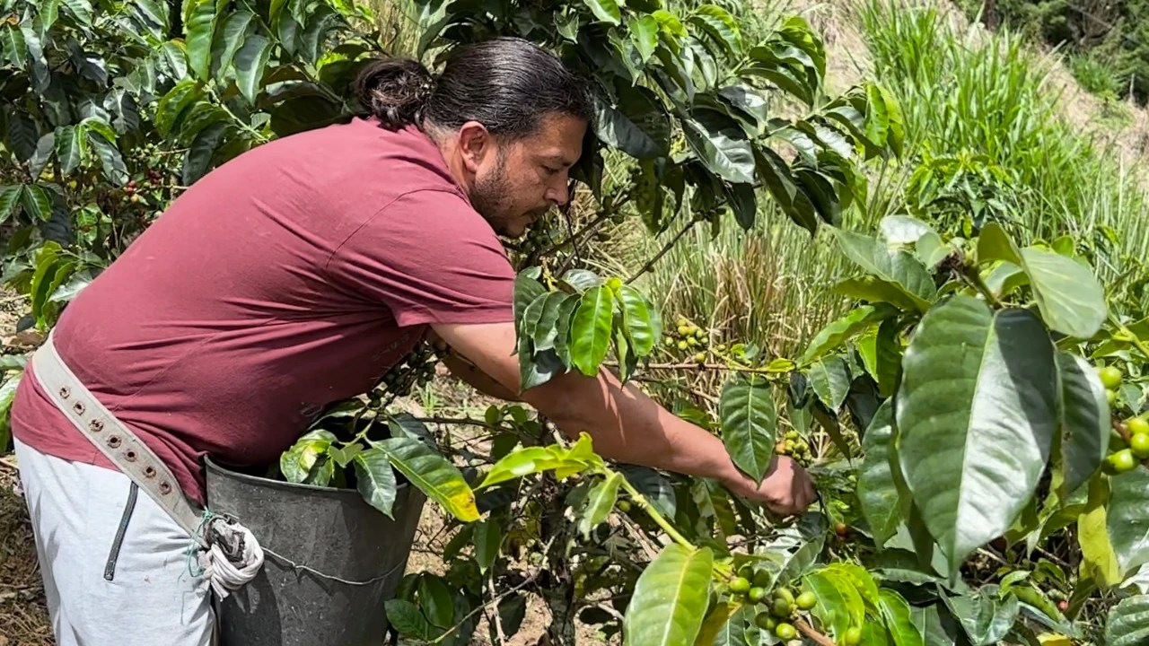 Agricultores de los corregimientos de Medellín recibieron 29 equipos agropecuarios para fortalecer sus cultivos