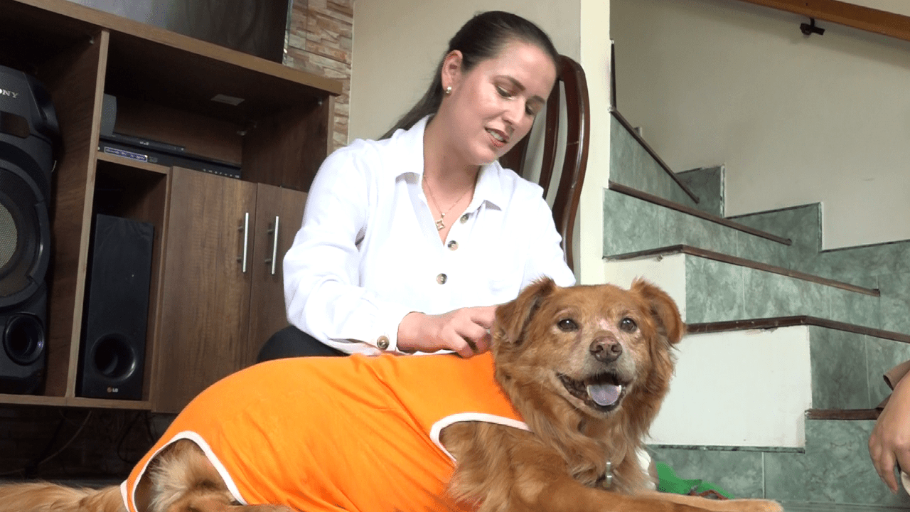 Lucas, el perrito al que le hicieron una caravana para celebrar que se curó del cáncer