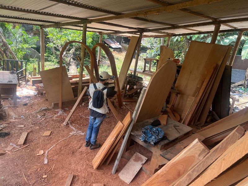 Corantioquia decomisa más de 37 metros cúbicos de madera en operativo forestal