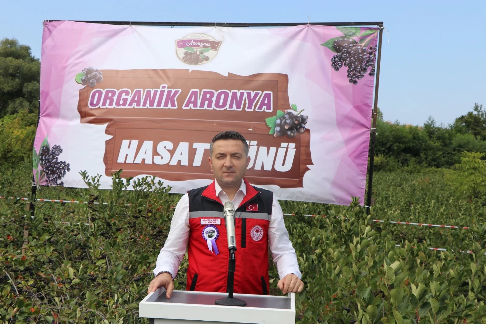 ARONYA FESTİVALİ BAŞLIYOR