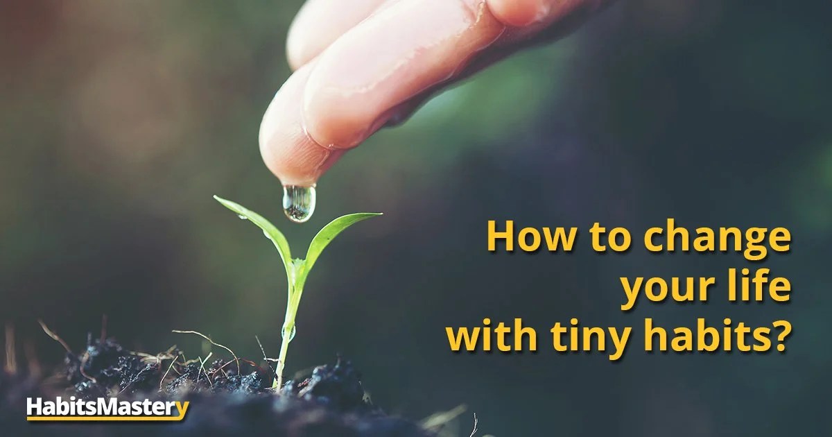 Menurut kamus bahasa inggris terjemahan indonesia, arti kata rejoice adalah gembira. How To Change Your Life With Tiny Habits Habits Mastery