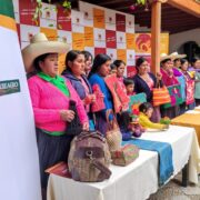 Alpaconga, un producto que puede conquistar el mundo