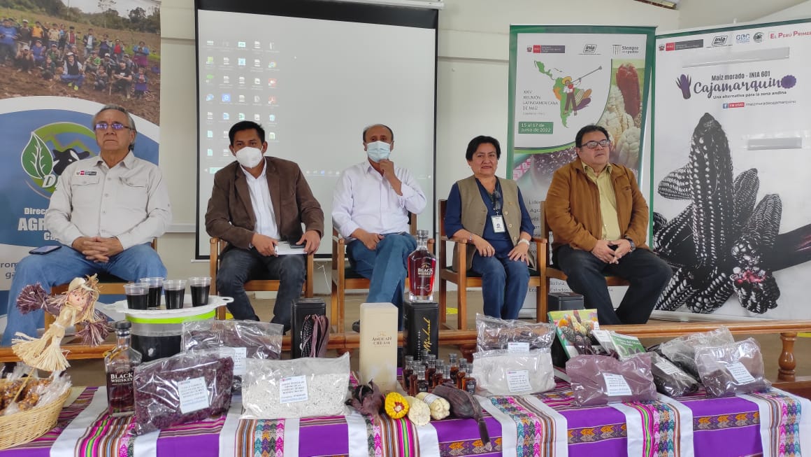 INIA, empresas privadas y gobiernos locales impulsan producción de maíz morado
