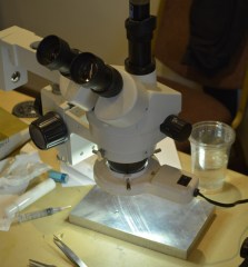 microscope