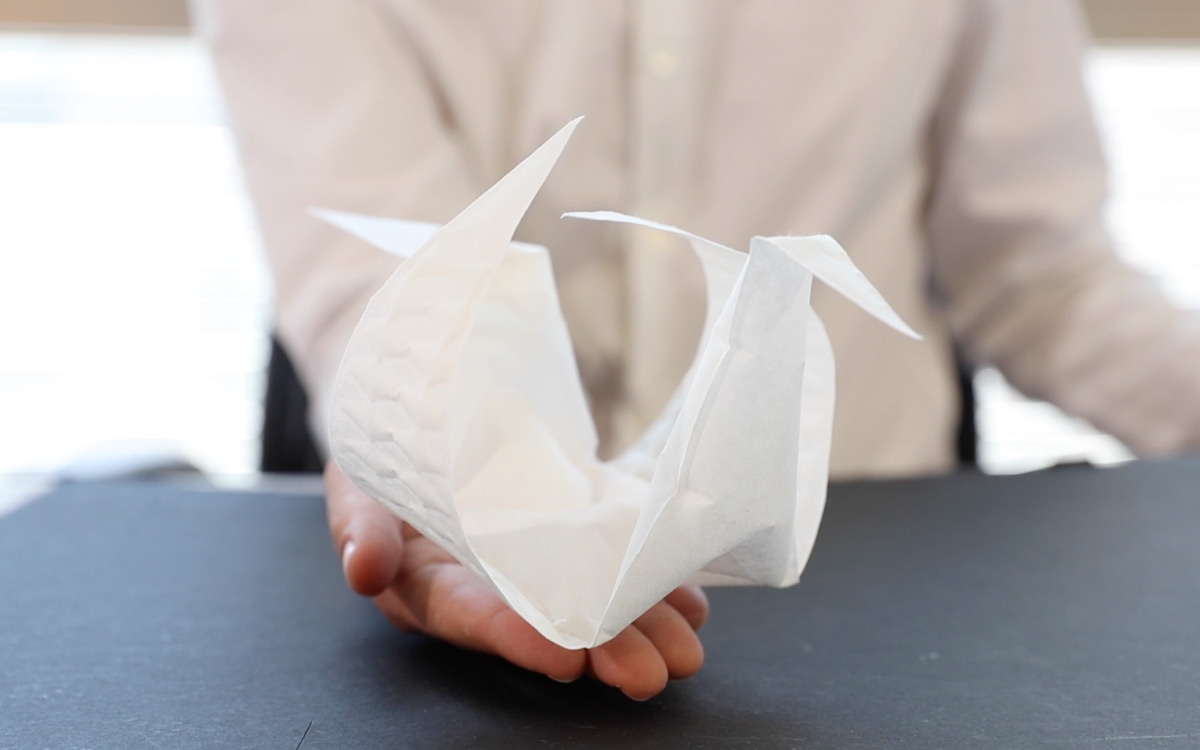 Learn how to make flowers, masks, and the ubiquitous paper crane! Pneumatic Origami Hackaday