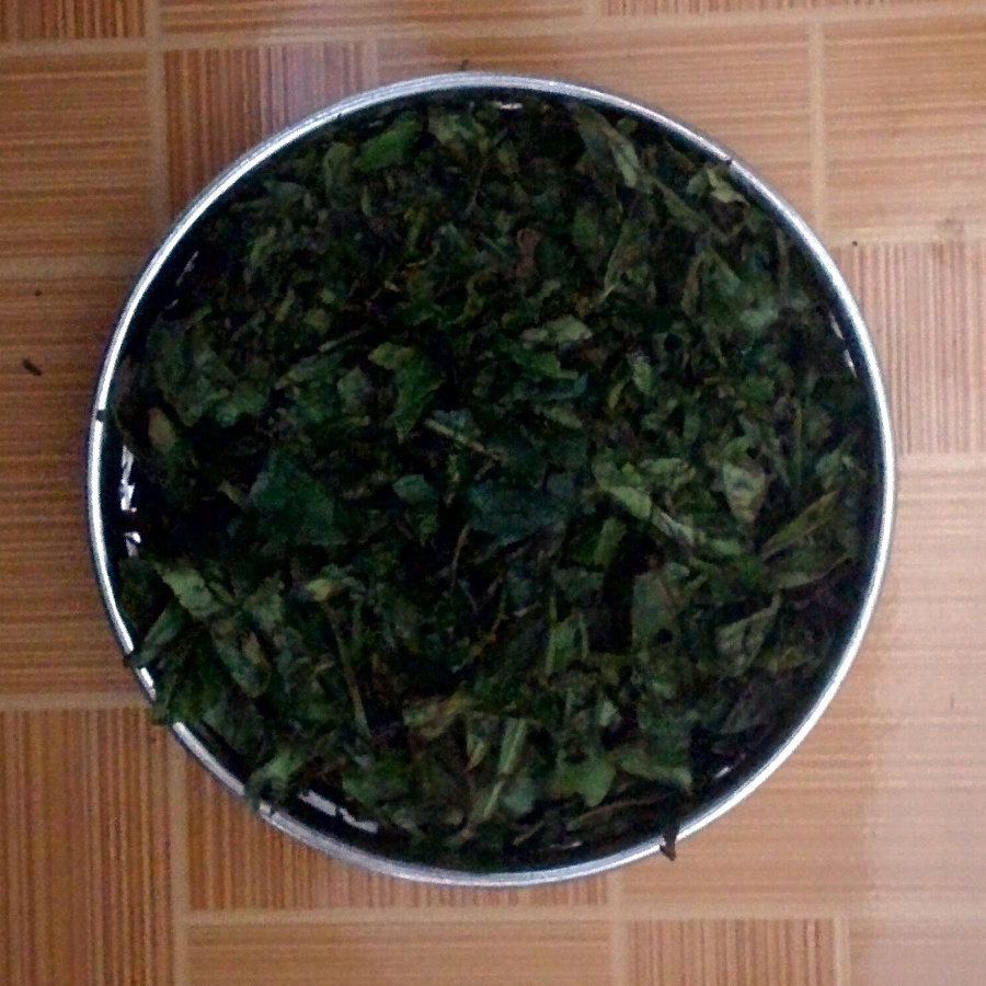 Bruised young tea leaves