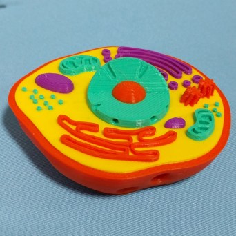 Cell