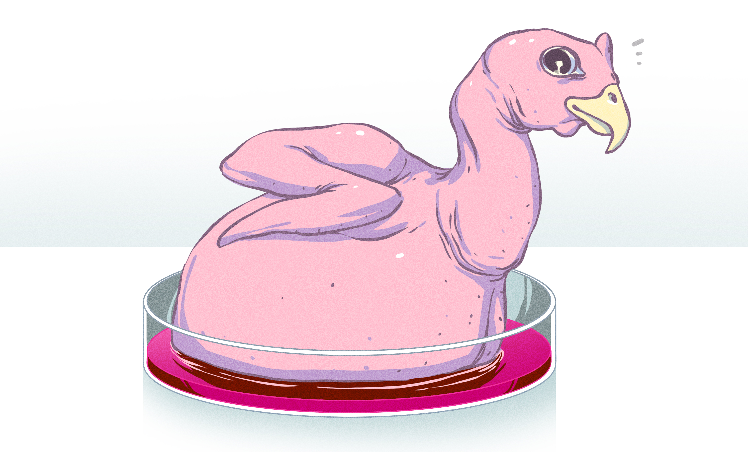 FDAs Approval Of Cell Culture Chicken: The Rise Of Fresh Meat Without The  Animal? | Hackaday