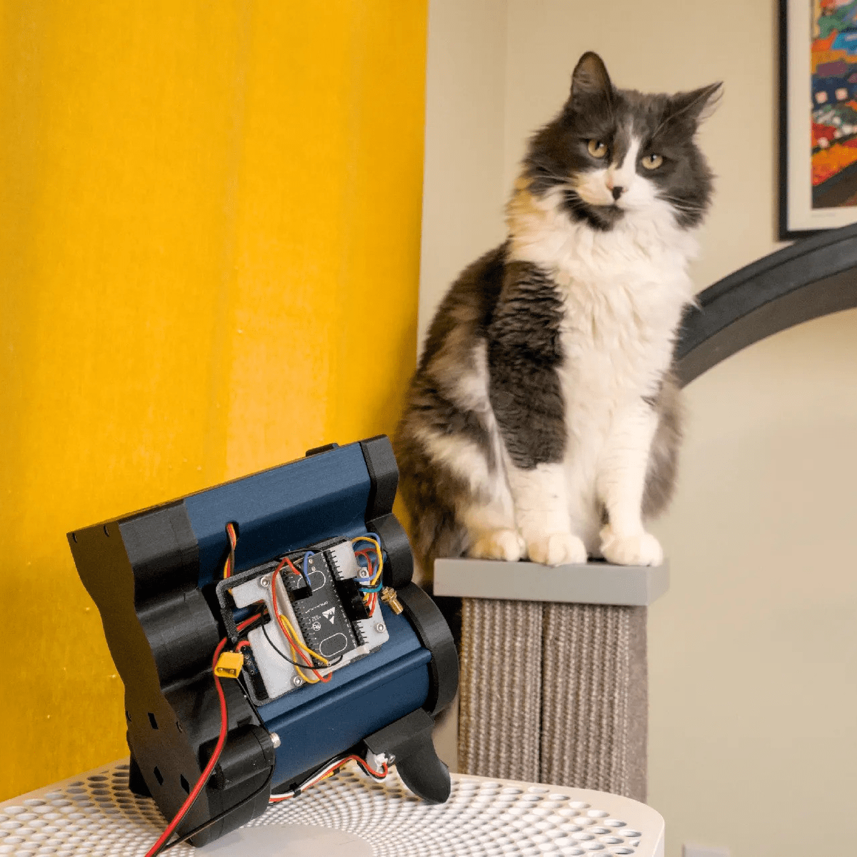 IoT Cat Treat Dispenser + Treadmill