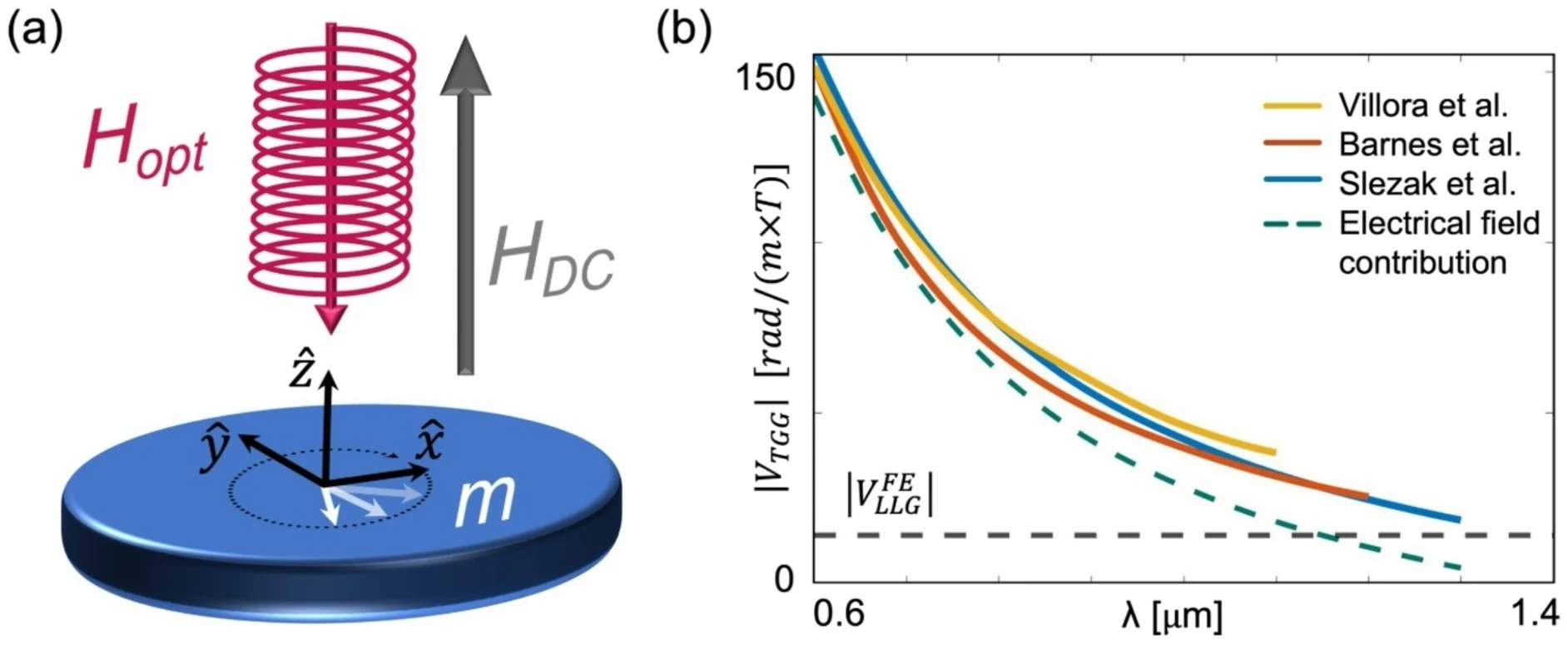 Unveiling the Optical Magnetic Field: A New Perspective on the Faraday Effect (2026)