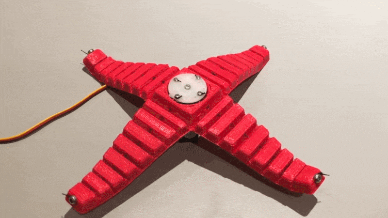 DIY Print-in-Place Robotic Gripper: Single Motor, Low-Cost, Easy Build! (2026)