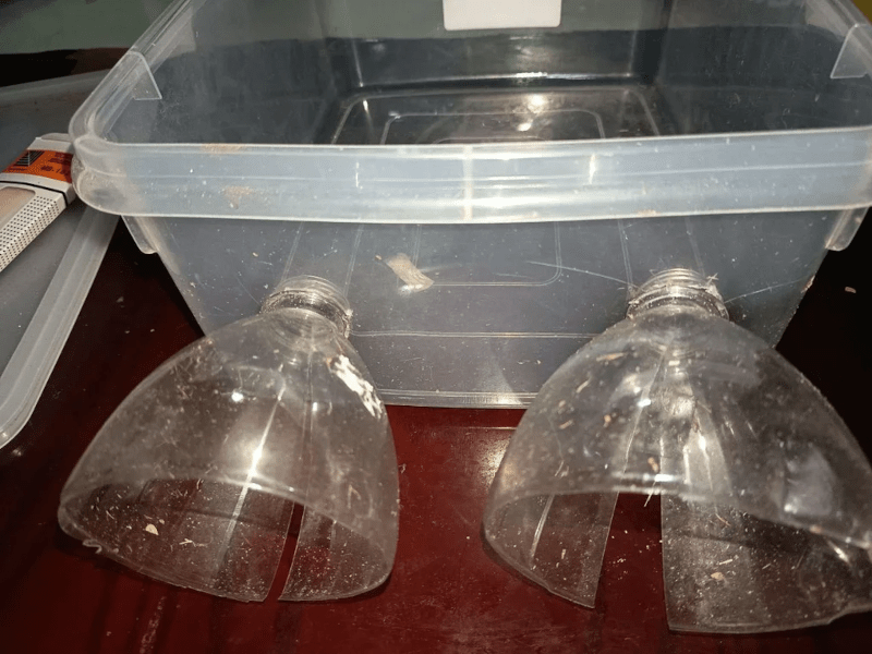 DIY Environmental Monitoring: Low-Cost Setup with Raspberry Pi Pico W (2026)