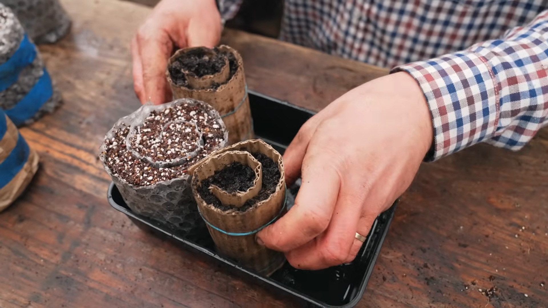 The "Seed Snail": Your Ultimate Garden Hack for Easy Seed Starting! (2026)