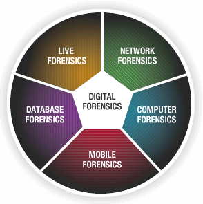 Digital Forensics Researcher