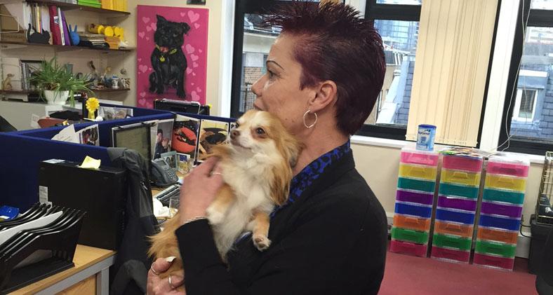 Frankie is reunited with his owner Jacky