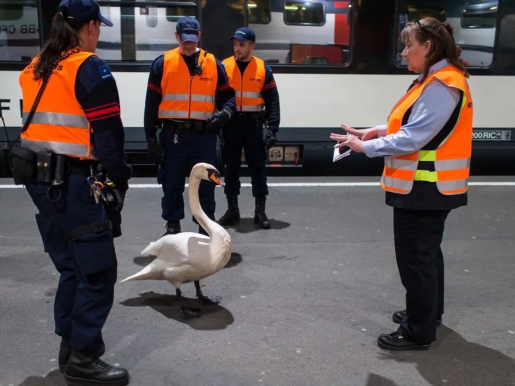 Swan_train_station