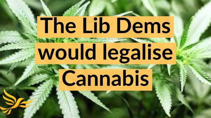 Lib dems would legalise cannabis