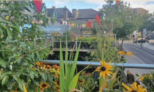 A view of the award-winning Homerton garden