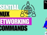 Five Essential Networking Commands