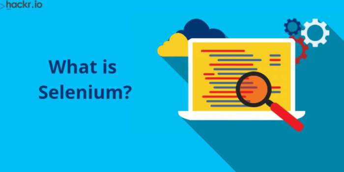 Getting Started with Selenium WebDriver: A Beginner’s Guide to Web ...
