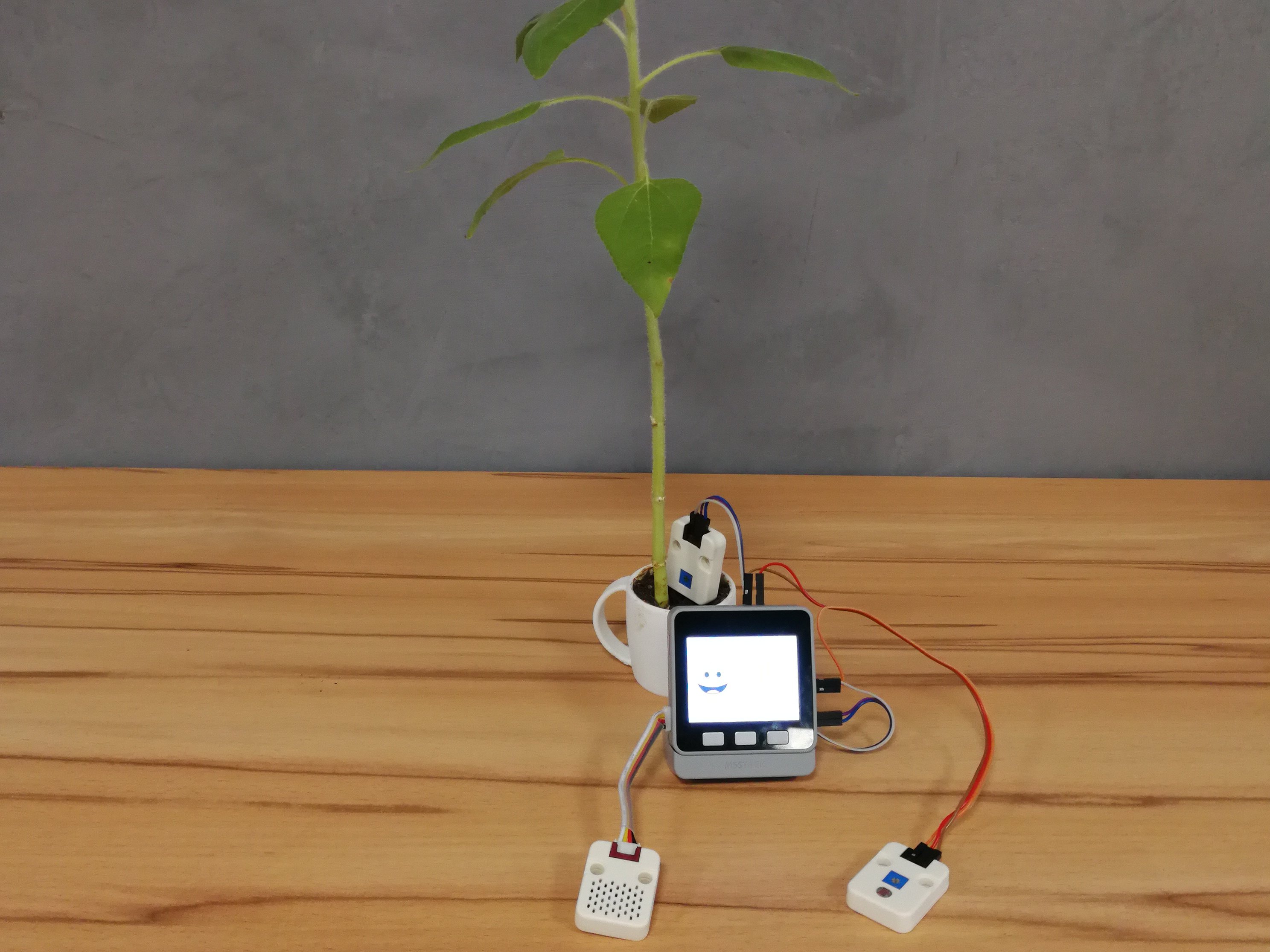 Smart Plant Hackster Io - Perfect Geometric Photo - HD