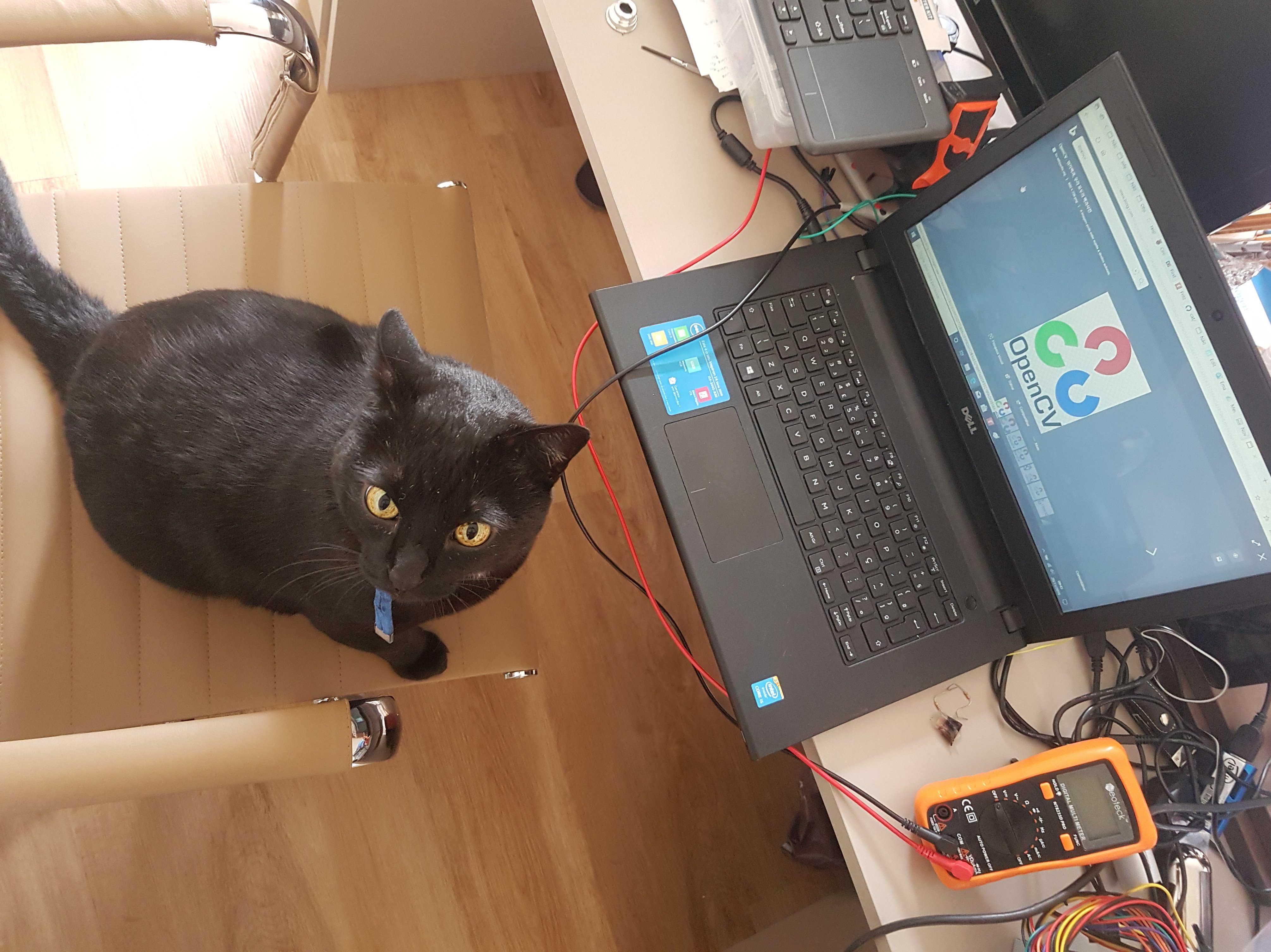 Use Xiao Esp32s3 To Capture Escaped Cats Hackster Io - Download Ultra HD Mountain Photo | Retina