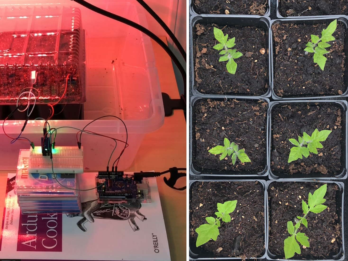 Docker With Springboot 2d Garden - Space Pictures - Amazing Retina Collection