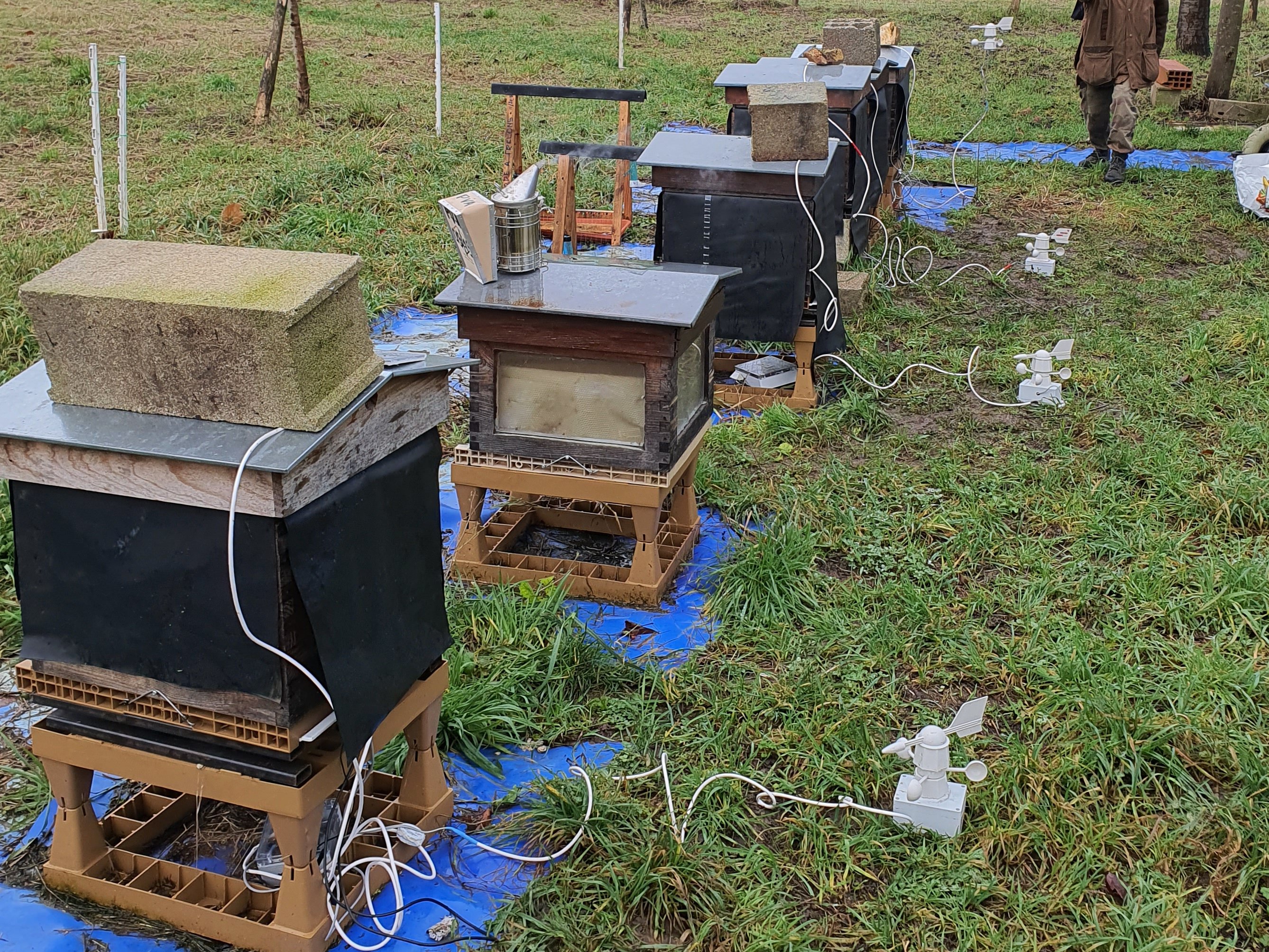 Hive Vision Hackster Io - Best Landscape Pictures in 8K