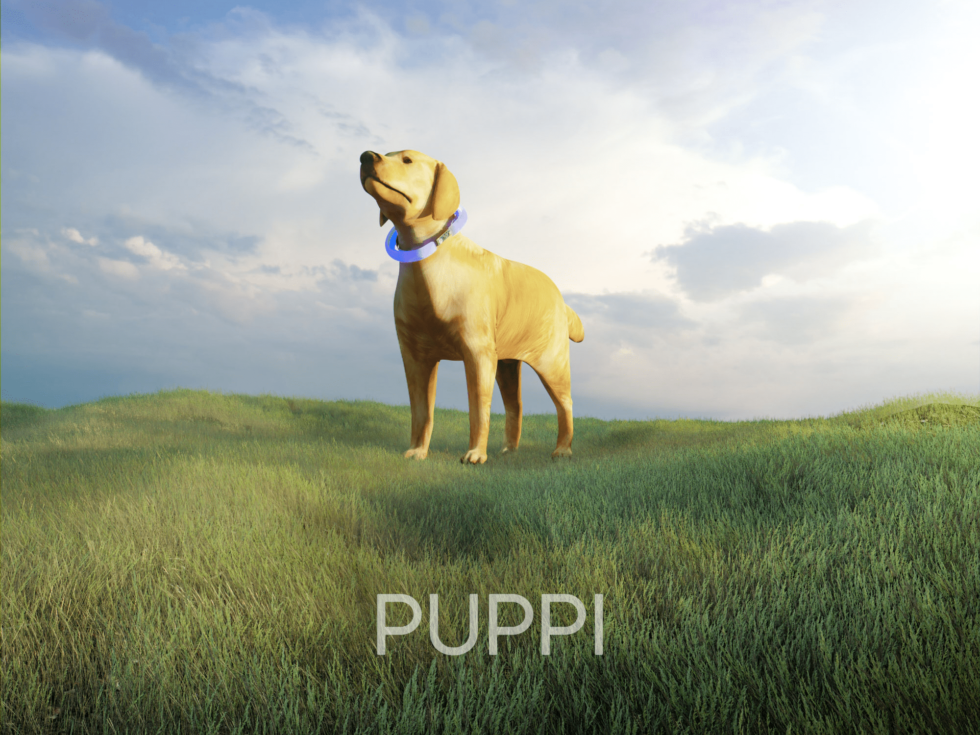 Caring Puppy 1 0 Hackster Io - High Quality HD Abstract Textures | Free Download