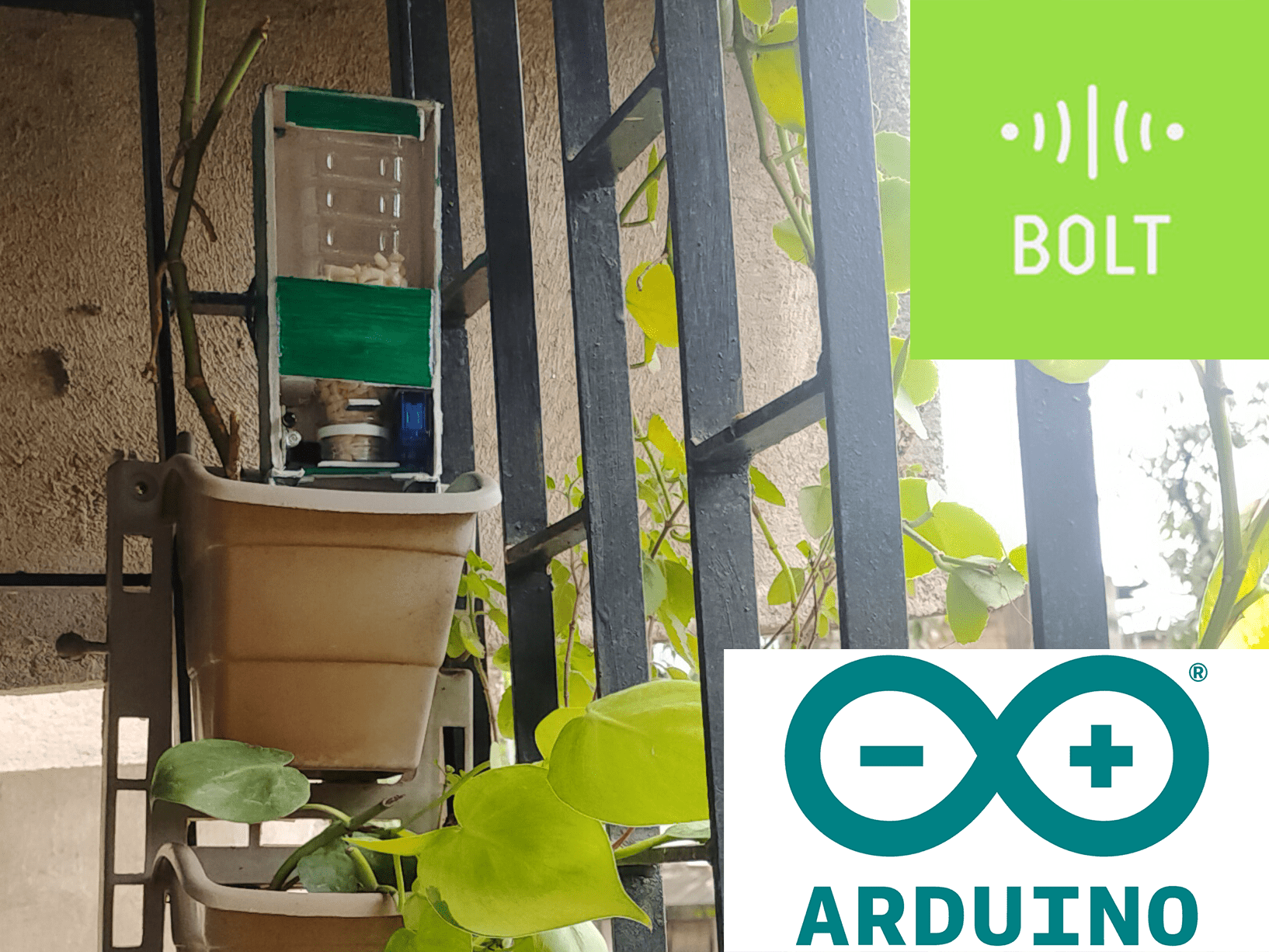 The Internet Of Birds Using Iot To Determine Bird Types Hackster Io - Vintage Arts - Professional 8K Collection