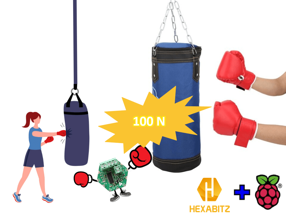 Raspberry Pi Force Gauge And Weight Scale Using Hexabitz - Premium Geometric Art - High Resolution