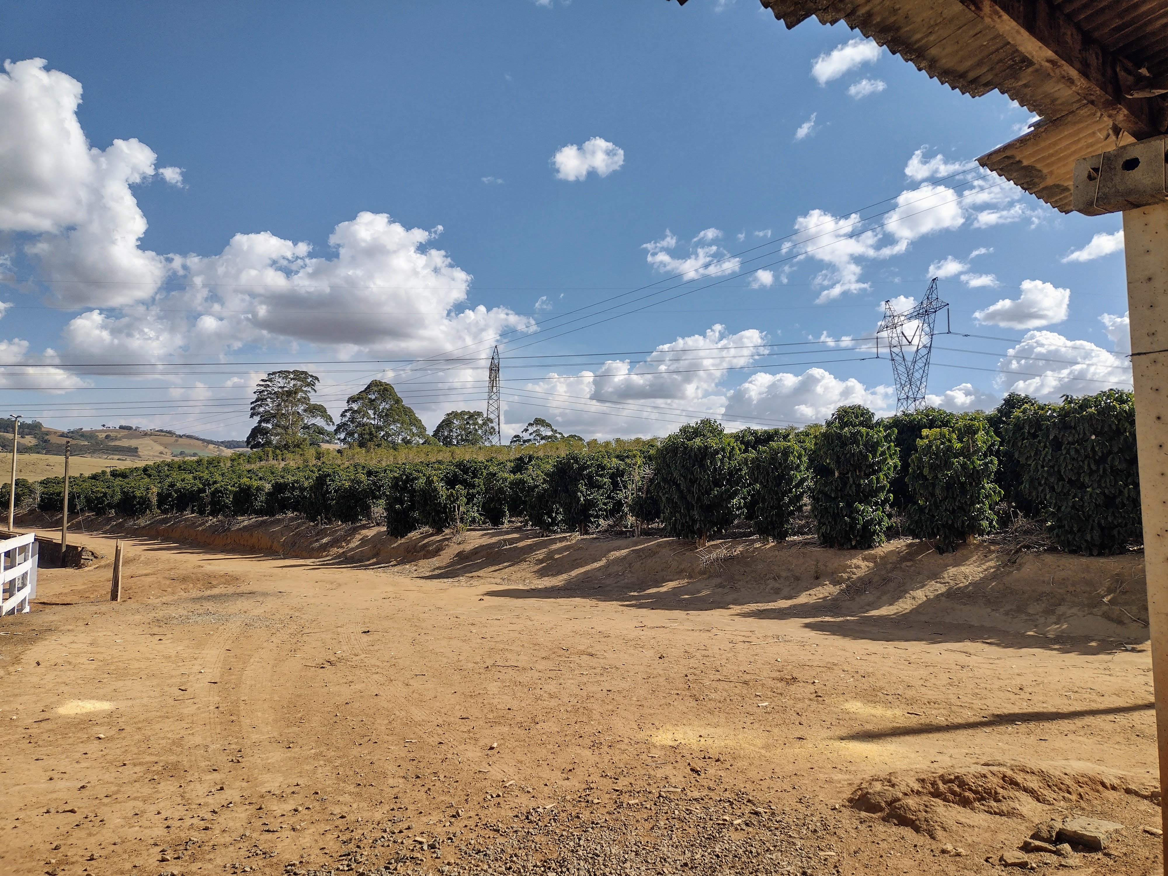 Coffee Disease Classification With Ml Hackster Io - Elegant Mobile City Textures | Free Download