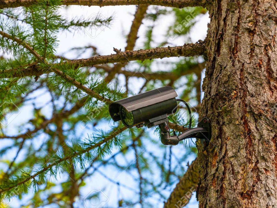 Forest Guard Hackster Io - Premium Space Illustration - Full HD