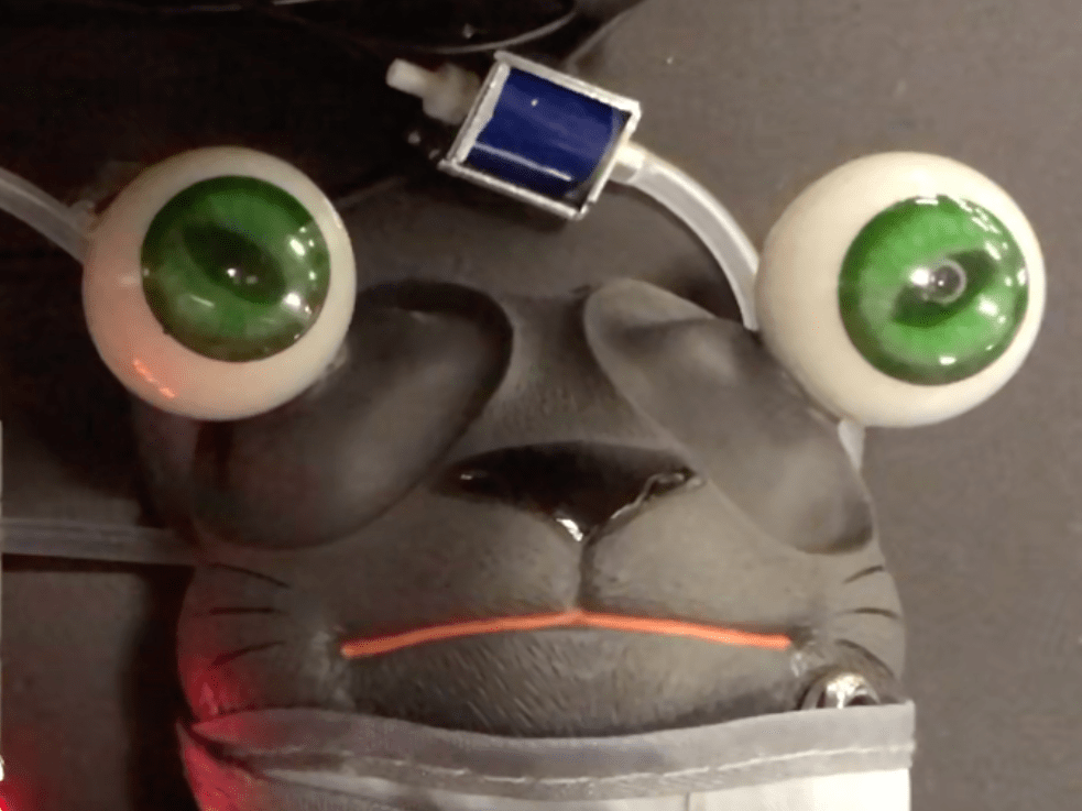 Anti Stress Kit Hackster Io - Elegant Gradient Design - 4K