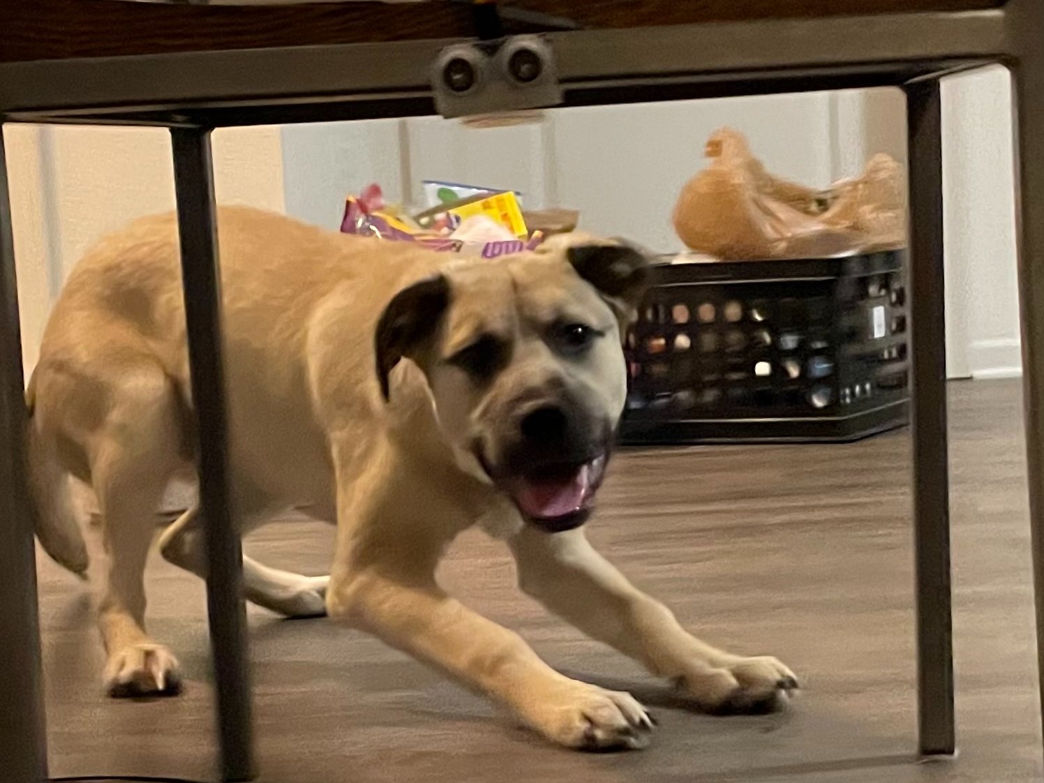 Here Robo Doggy Hackster Io - Download High Quality Space Illustration | HD