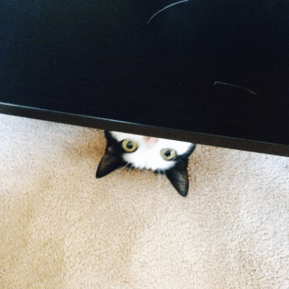 Led Snake Plant Hackster Io - Gorgeous Abstract Design - Desktop