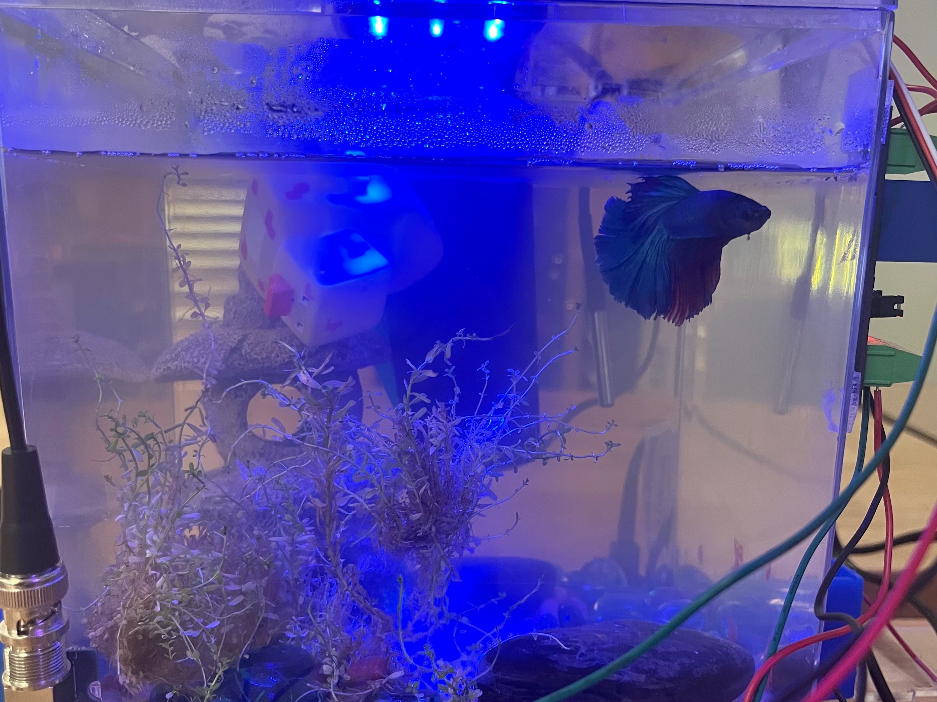 Fish Ships Hackster Io - 4K Space Arts for Desktop