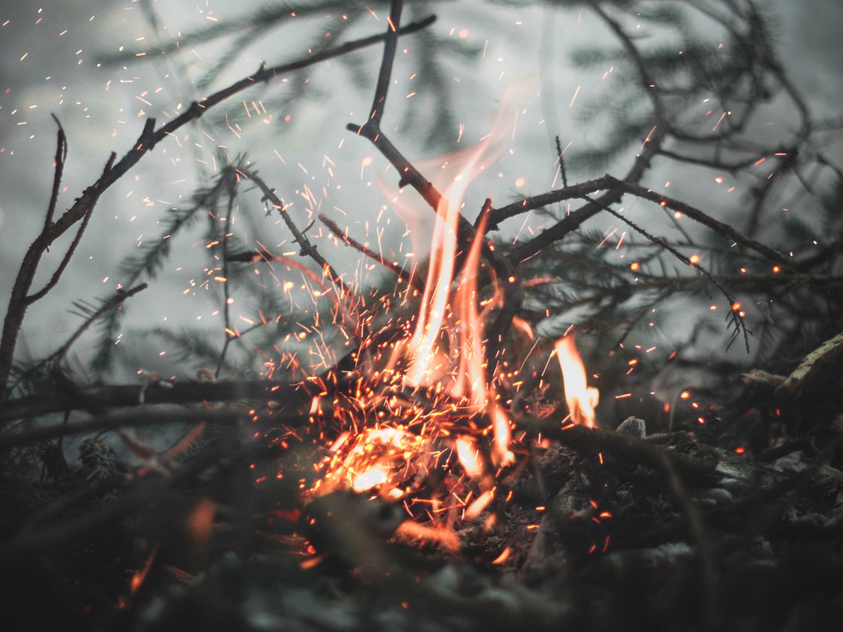 Embedded System To Detect Wildfire Hackster Io - Mountain Picture Collection - Ultra HD Quality