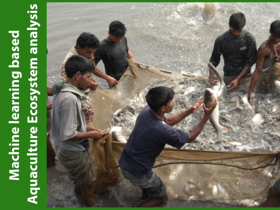 Pdf Aqua Farm Fish Behavior Analysis Using Machine Learning - Best Mountain Textures in 4K