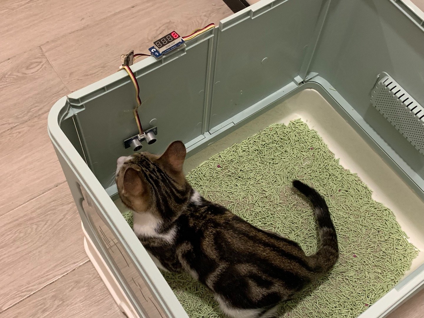 Self Cleaning Cat Litter Box Hackster Io - Sunset Patterns - Incredible Retina Collection