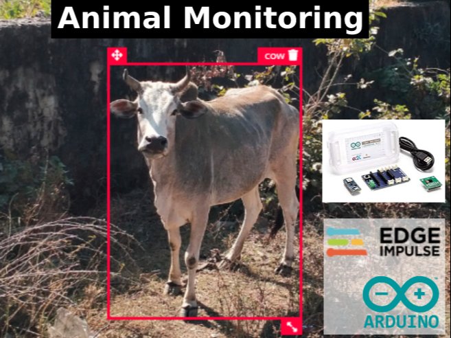 Animal Monitoring Using Tinyml Hackster Io - Light Patterns - Stunning High Resolution Collection